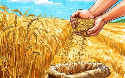 The Weekly Finger: Grains gone wild, the copper squeeze nobody's pricing in, and the bond market story tying it all together