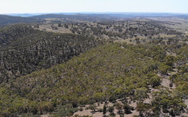 Thomson Resources starts drilling at historic Silver Spur deposit in Queensland
