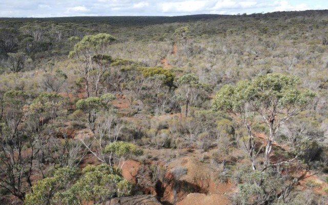 Thorium anomalies at Mamba Exploration’s WA project point to rare earths