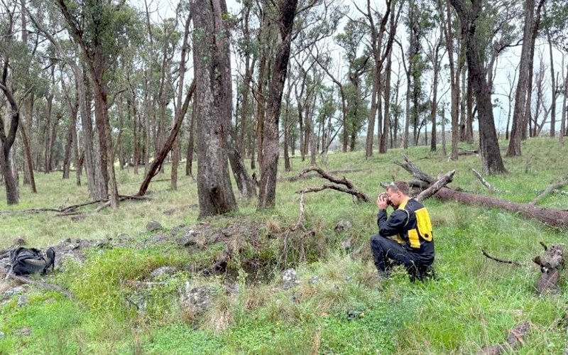 Thunderbird Resources ramps up NSW gold-antimony exploration following positive maiden results