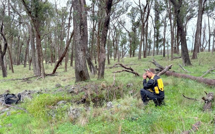 Thunderbird Resources ramps up NSW gold-antimony exploration following positive maiden results