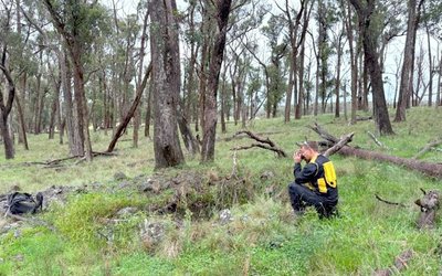 Thunderbird Resources ramps up NSW gold-antimony exploration following positive maiden results