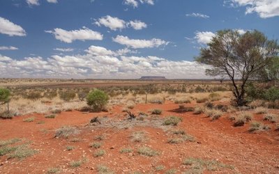 Trek Metals increases cobalt and lithium ground with grant of Arunta tenements