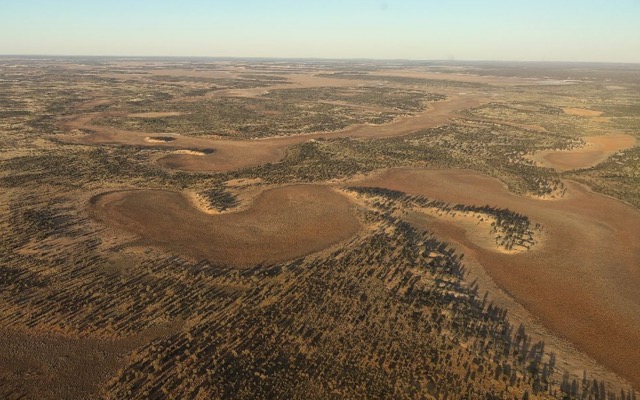 Trigg Mining posts strong quarter of progress at Lake Throssell SOP project