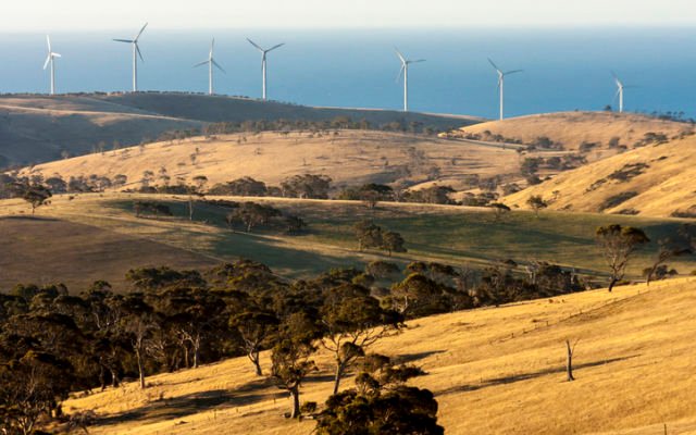 Twiggy-led renewables consortium makes a grab for Windlab