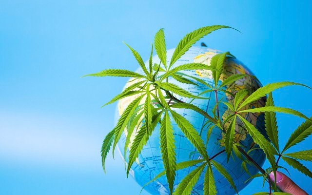 UN removes cannabis from “world’s most dangerous drugs” list to focus on its therapeutic uses