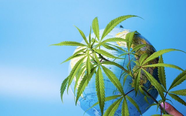 UN removes cannabis from “world’s most dangerous drugs” list to focus on its therapeutic uses