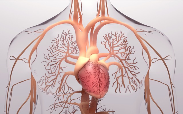 Vectus Biosystems unveils more promising results from phase 1 clinical trial