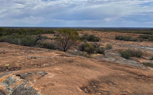 Venus Metals confirms widespread REE at Marvel Loch, drilling begins at Youanmi