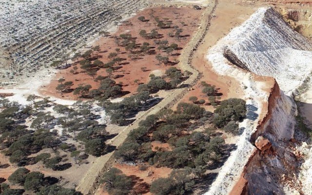 Venus Metals firms up lithium targets across Youanmi project