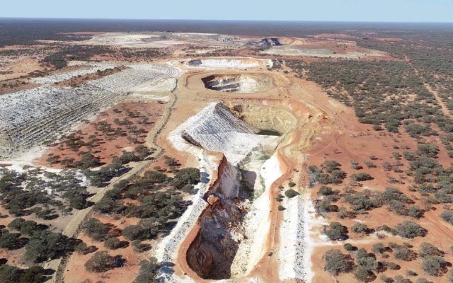 Venus Metals and Rox Resources make bonanza hits at Youanmi South gold project