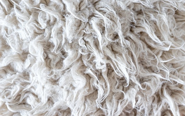 Veratin upcycles wool into fertiliser and other sustainable products