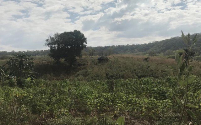 Volt Resources clears final hurdle ahead of mining licence grant at Bunyu graphite project