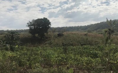 Volt Resources clears final hurdle ahead of mining licence grant at Bunyu graphite project