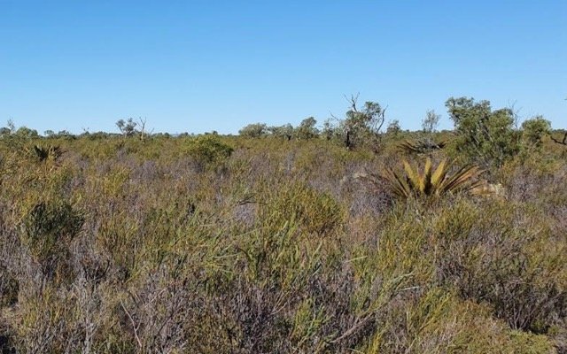 VRX Silica’s Arrowsmith Central project moves to public environmental review stage