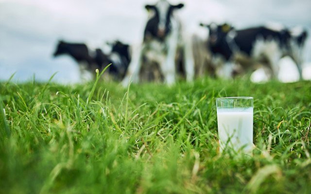 Wattle Health Australia lines up organic milk market opportunity in China