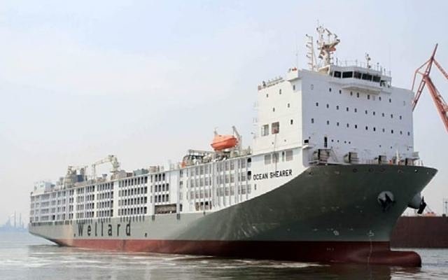 Wellard sells largest purpose-built livestock ship to Kuwait-based entity