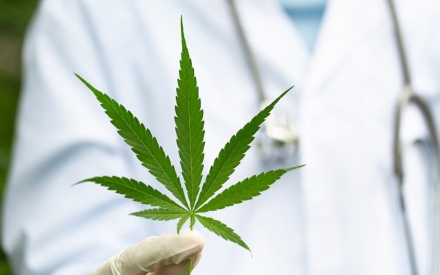 Wellnex Life to launch medicinal cannabis products into emerging SAS-B market with Chemist Warehouse