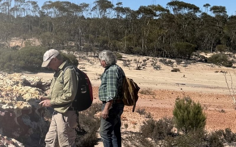 West Cobar Metals completes acquisition of high-potential Mystique gold project in WA