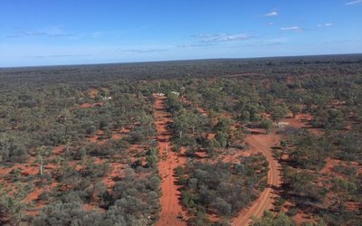 West Cobar Metals drills up potential large copper system at Bulla Park