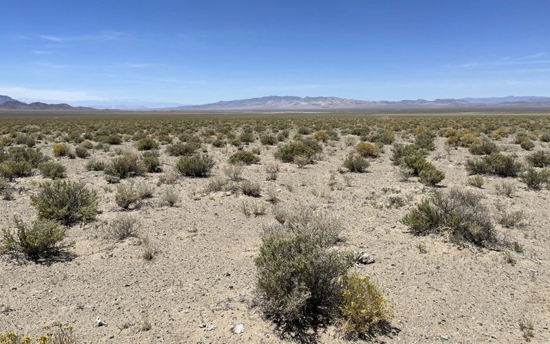 West Cobar Metals advancing global critical minerals hunt with multi-pronged approach