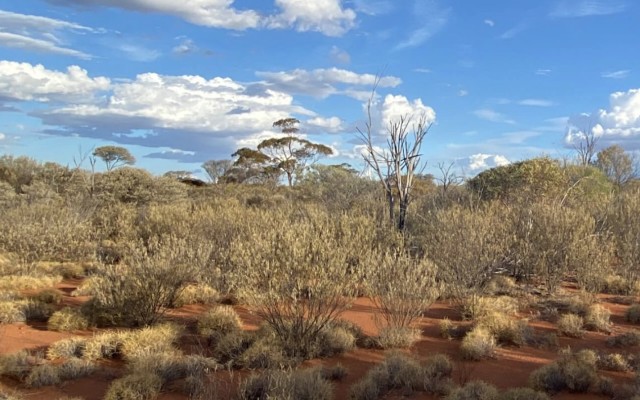 Western Mines launches surveys to unlock Mulga Tank nickel-copper-PGE potential