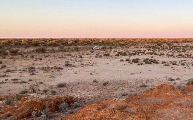 Western Mines Group unearths more visible nickel at Mulga Tank