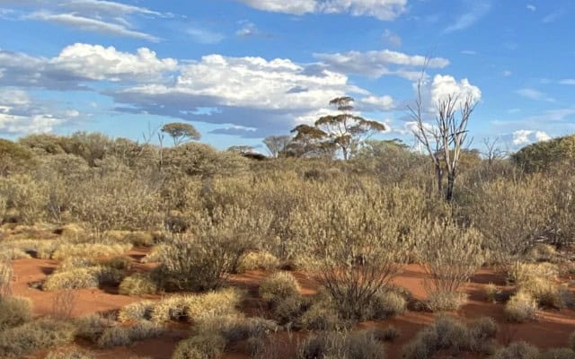 Western Mines kicks off high-powered EM survey at flagship Mulga Tank project