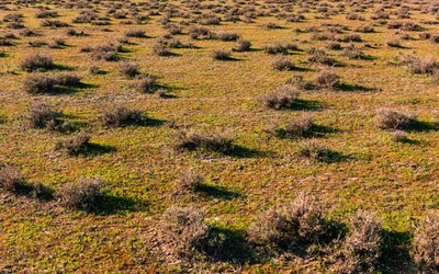 White Cliff Minerals to investigate high-grade nickel-sulphide potential at Coronation Dam project