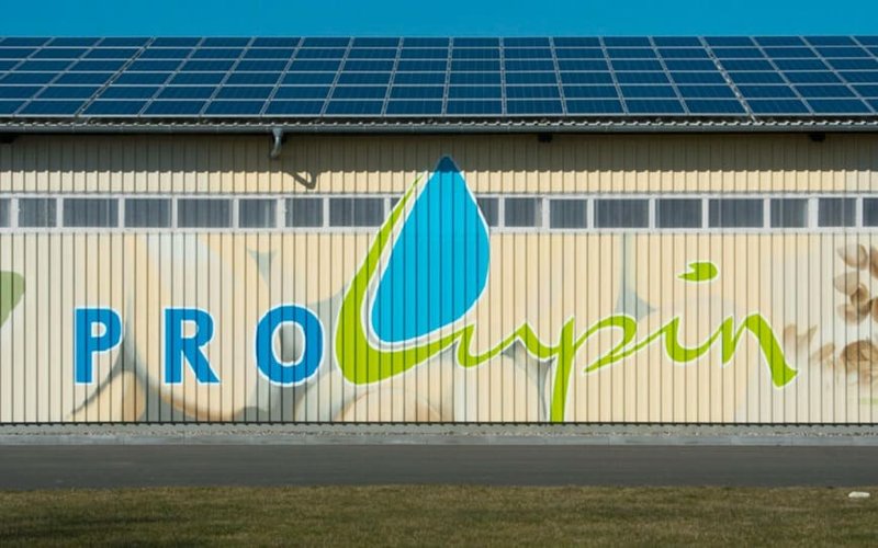 Wide Open Agriculture to acquire Prolupin and become the world’s largest lupin protein producer