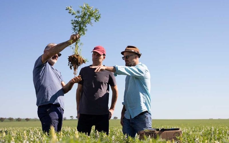 Wide Open Agriculture eyes significant global expansion in 2024 with lupin protein innovation