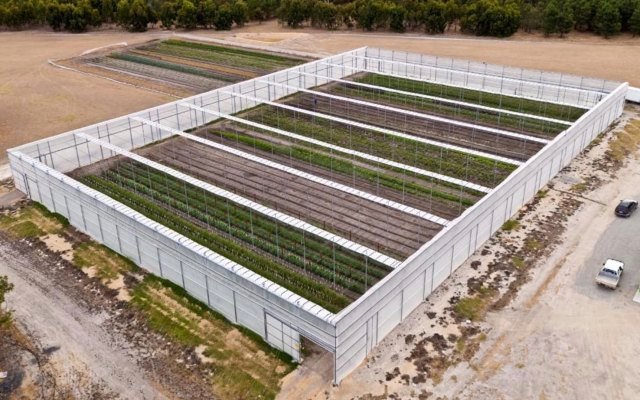 Wide Open Agriculture granted industrial hemp licence