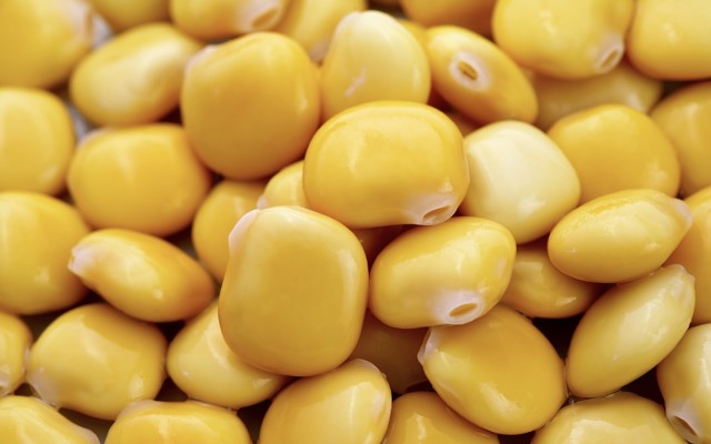 Wide Open Agriculture confirms modified lupin concentrate can create protein-enhanced alternative foods