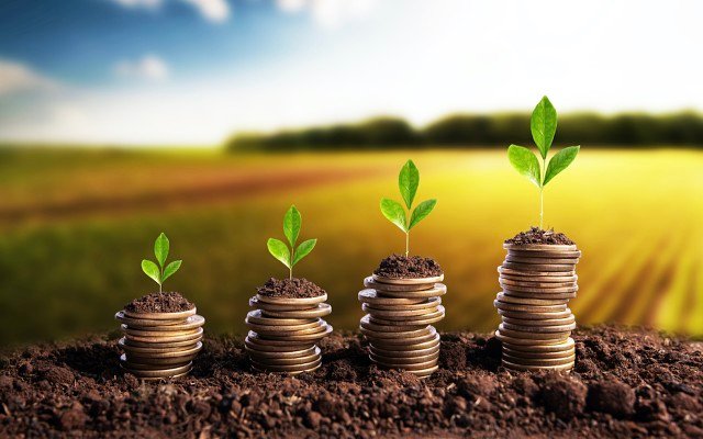 Wide Open Agriculture will fund new manufacturing plants with capital raising proceeds