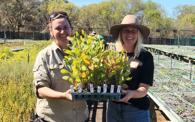 Wide Open Agriculture outlines regenerative journey in new sustainability report