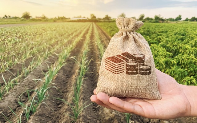 Wide Open Agriculture raises $22m to fund plant-based manufacturing and expansion plans