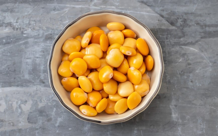 Wide Open Agriculture raises funds to transform into world’s largest lupin protein producer