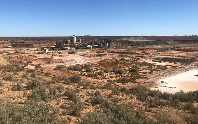 Youanmi gold footprint grows again for Venus Metals Corporation and Rox Resources