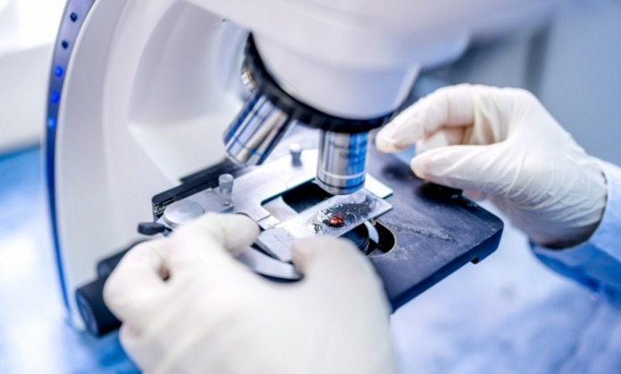 Zelda Therapeutics reports positive results in breast cancer study using cannabinoids