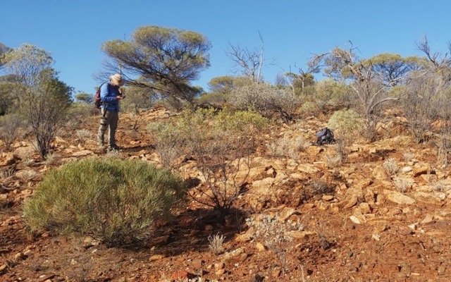 Zenith Minerals secures Mt Ida North project under new lithium alliance